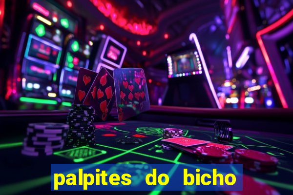 palpites do bicho no celular